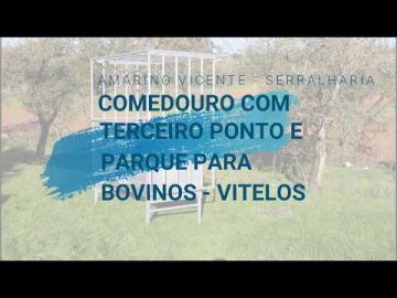 Comedouro com Terceiro Ponto e Parque para Bovinos