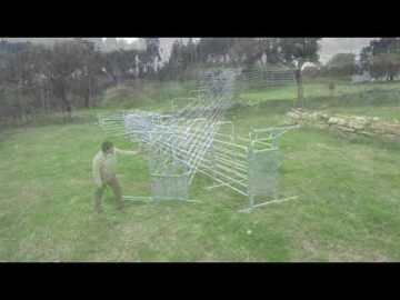 Manga para bovinos com porta de controlo e portas separadoras